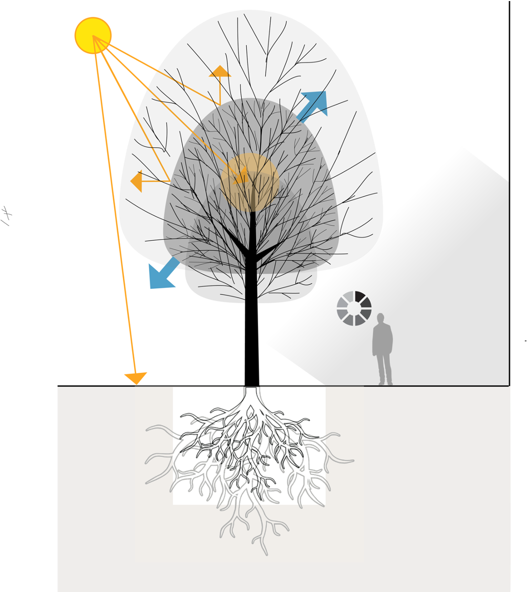 tree-cooling-mechanisms-facade